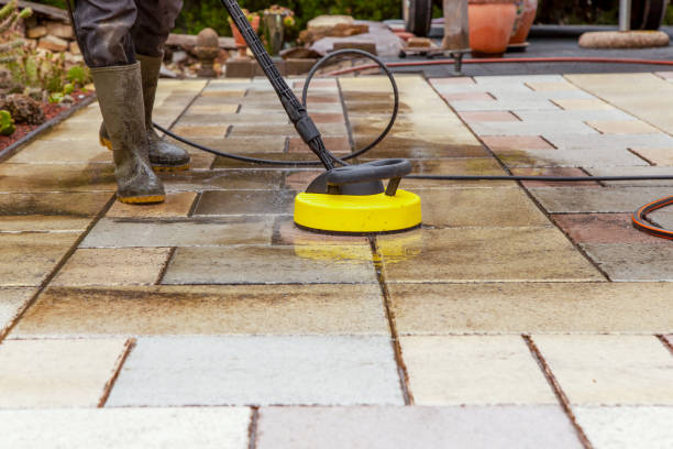 Best Animal Enclosure Cleaning  in Winter Beach, FL